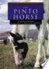 The_pinto_horse