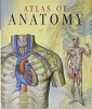 Atlas_of_human_anatomy
