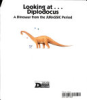 Looking_at--_Diplodocus