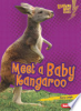 Meet_a_baby_kangaroo