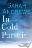 In_cold_pursuit