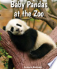Baby_pandas_at_the_zoo