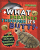 What_breathes_through_its_butt_