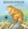 Beaver_steam__by_Marilyn_F__Holmer___illustrated_by_David_Kiehm