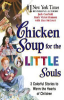 Chicken_soup_for_the_little_souls