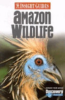 Amazon_wildlife