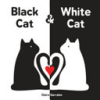 Black_Cat___White_Cat