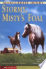Stormy__Misty_s_foal