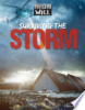 Surviving_the_storm