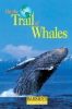 On_the_trail_of_whales