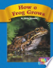 How_a_frog_grows