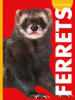 Curious_about_ferrets