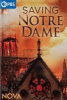 Saving_Notre_Dame