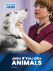 Jobs_If_You_Like_Animals