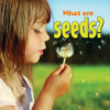 What_are_seeds_