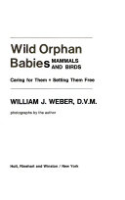 Wild_orphan_babies