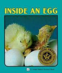 Inside_an_egg