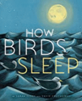 How_birds_sleep
