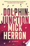 Dolphin_junction