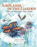 Airplanes_in_the_garden