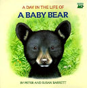 A_day_in_the_life_of_a_baby_bear