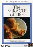 The_miracle_of_life