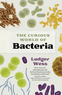 The_curious_world_of_bacteria