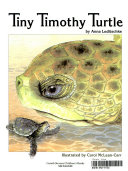 Tiny_Timothy_Turtle