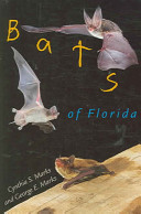 Bats_of_Florida