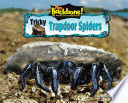 Tricky_trapdoor_spiders