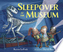 Sleepover_at_the_museum