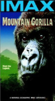 Mountain_gorilla