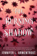 The_burning_shadow