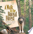 A walk in the boreal forest