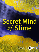 Secret_mind_of_slime