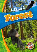 Life_in_a_forest