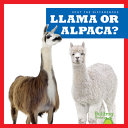 Llama_or_alpaca_
