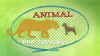 Animal_odd_couples