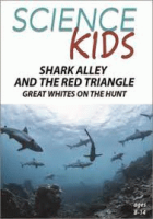 Shark_Alley_and_the_Red_Triangle