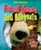 Animal_homes_and_hangouts