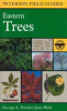 A_field_guide_to_eastern_trees
