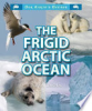 The_frigid_Arctic_ocean