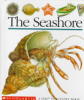 The_seashore