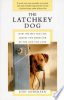 The_latchkey_dog