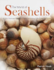 The_world_of_seashells