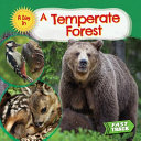 A_temperate_forest