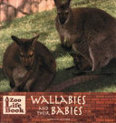 Wallabies_and_their_babies