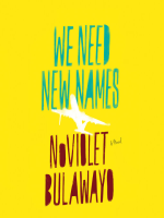 We_Need_New_Names