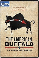 The_American_buffalo