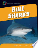 Bull_sharks